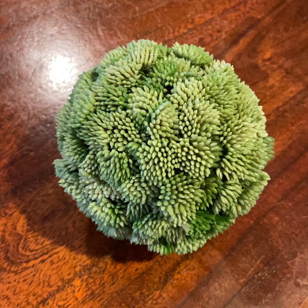 Decorative succulent ball (*free with purchase of $15)